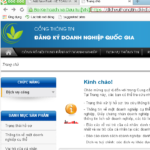 HƯỚNG DẪN TRA CỨU NGÀNH NGHỀ KINH DOANH CỦA DOANH NGHIỆP